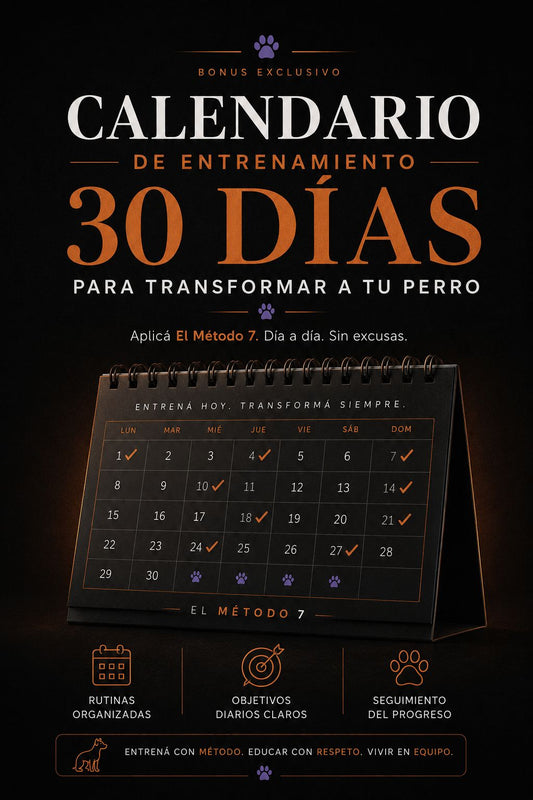 Calendario de entrenamiento 30 días